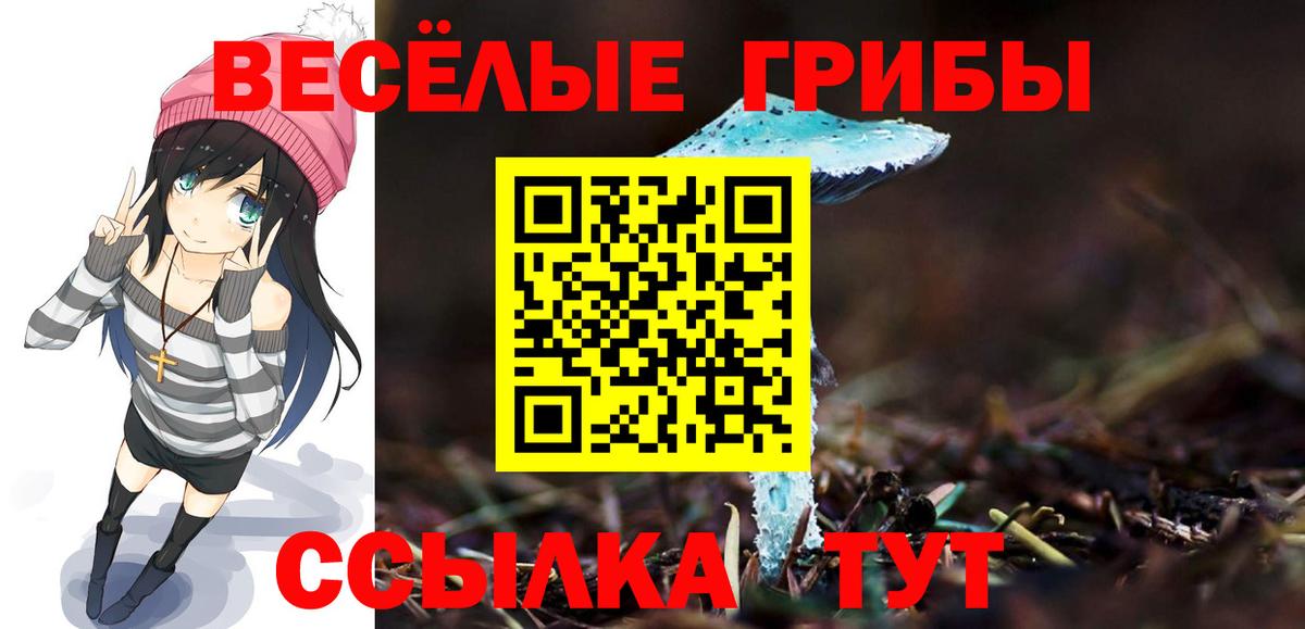 Галлюциногенные грибы Magic Shrooms Луга