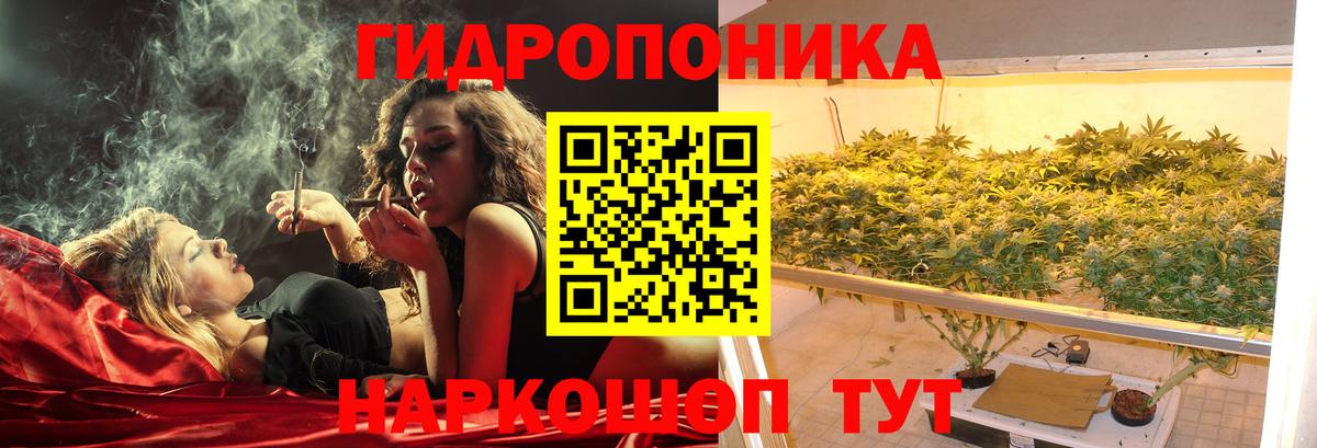Каннабис ГИДРОПОН Луга